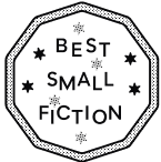 Best Small Fictions