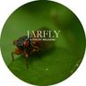 Jarfly logo