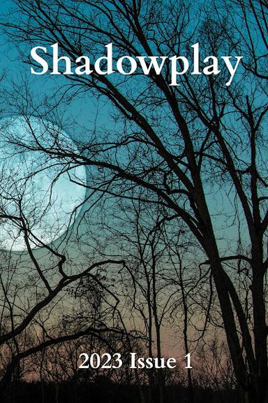 Shadowplay latest issue