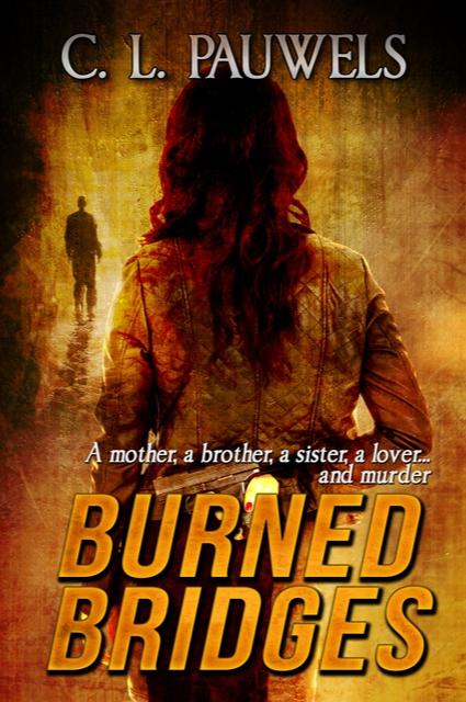 Book cover of Burned Bridges by Cyndi