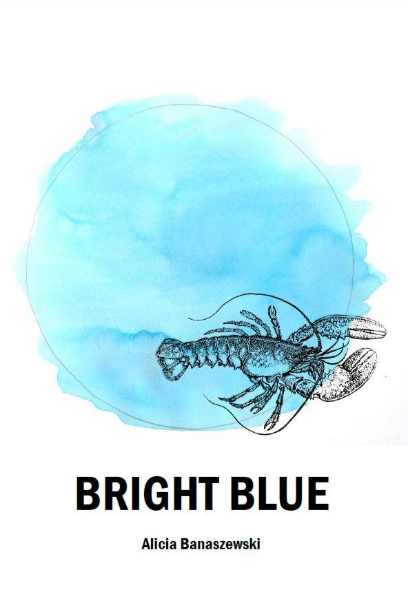 Book cover of Bright Blue by Alicia Banaszewski