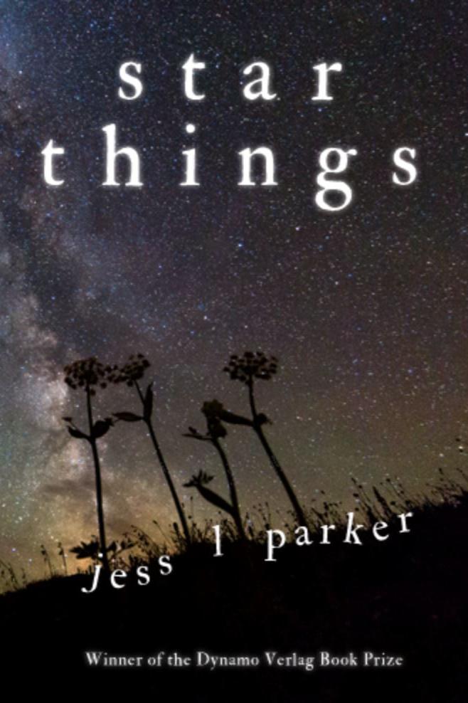 Book cover of Star Things by Jess L Parker