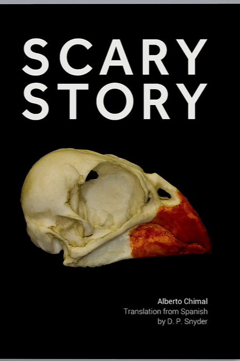 Book cover of Scary Story by D. P. Snyder