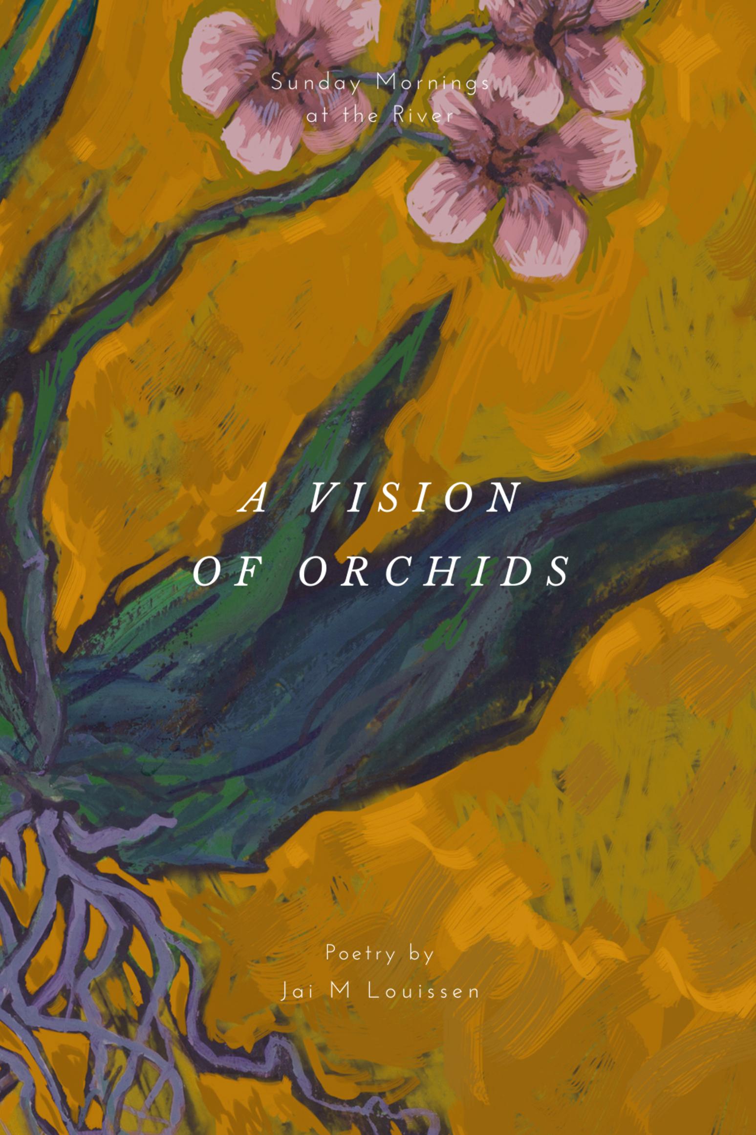 Book cover of A Vision of Orchids by Jai Michelle Louissen