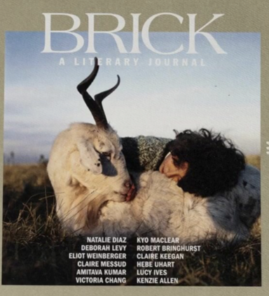 Brick latest issue