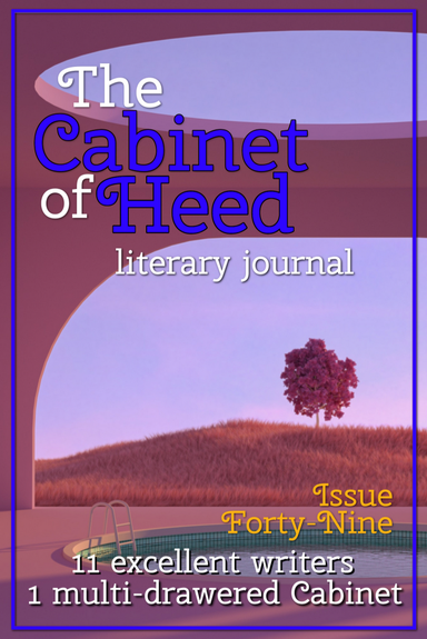 The Cabinet of Heed Literary Journal  latest issue