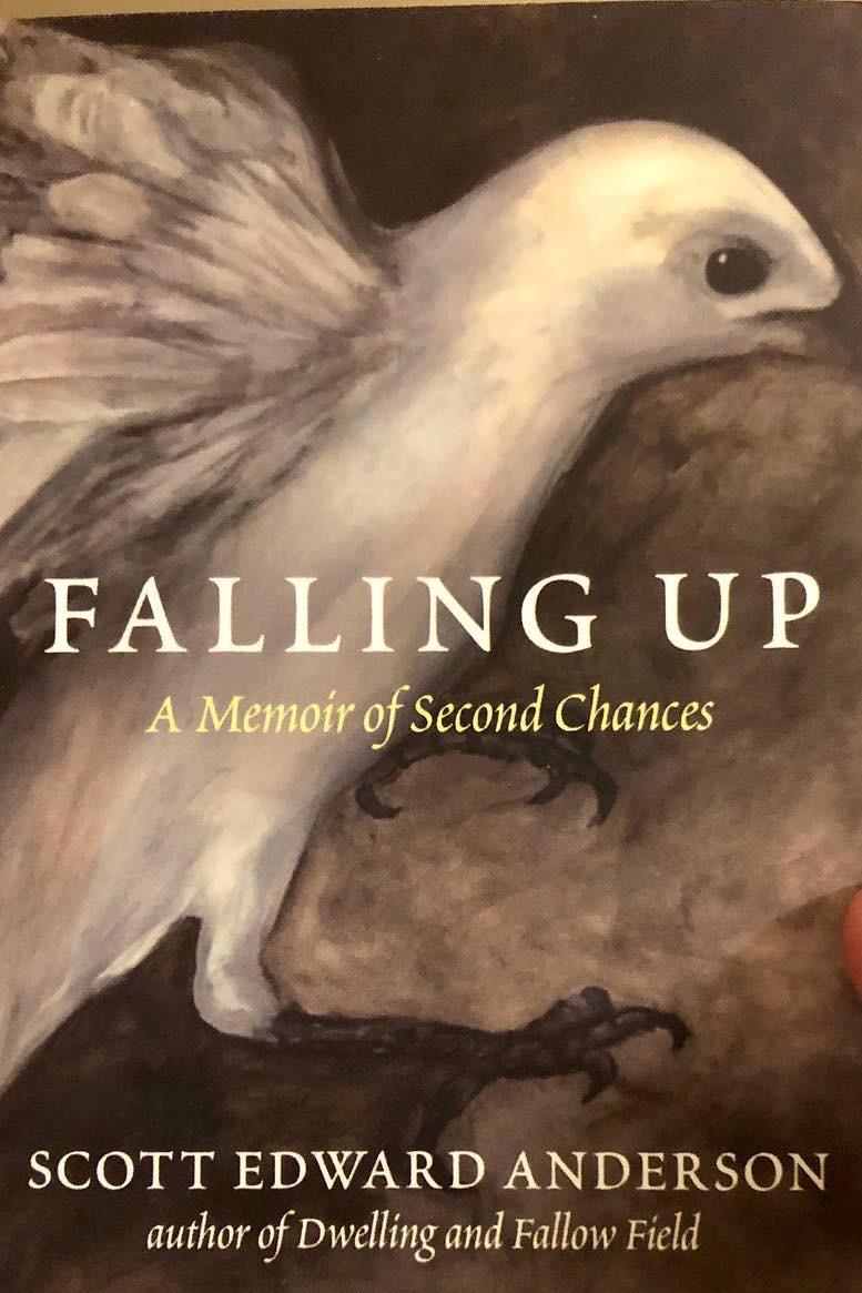 Book cover of Falling Up: A Memoir of Second Chances by Scott Edward Anderson