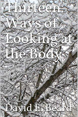 Book cover of Thirteen Ways of Looking at the Body by David Beard
