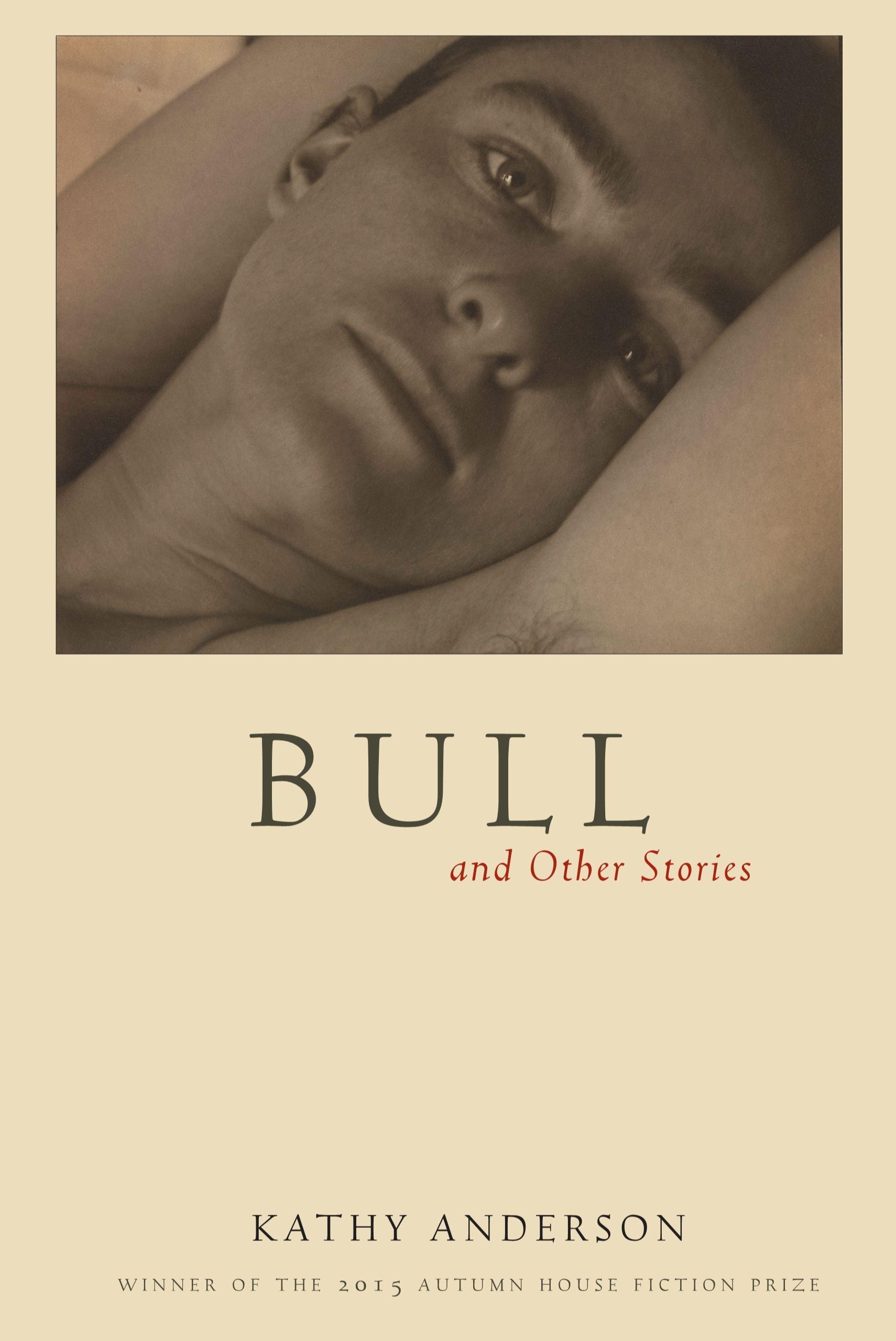 Book cover of Bull and Other Stories by Kathy Anderson