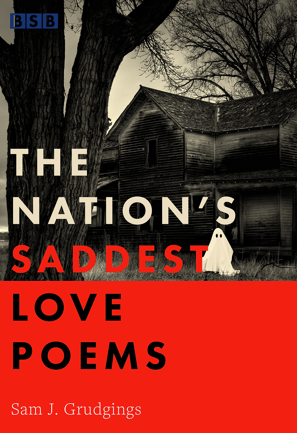 Book cover of The Nations Saddest Love Poems by Sam J Grudgings