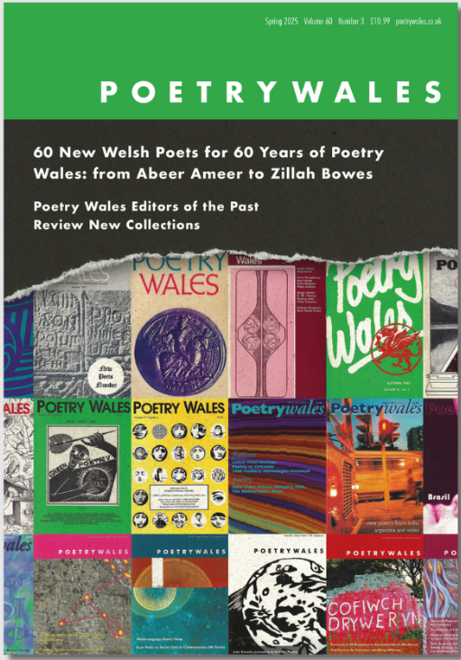 Book cover of Poetry Wales 60.3 Spring 2025 | The 60th Anniversary Issue by Caitlin Tina Jones