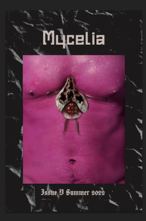 Mycelia latest issue