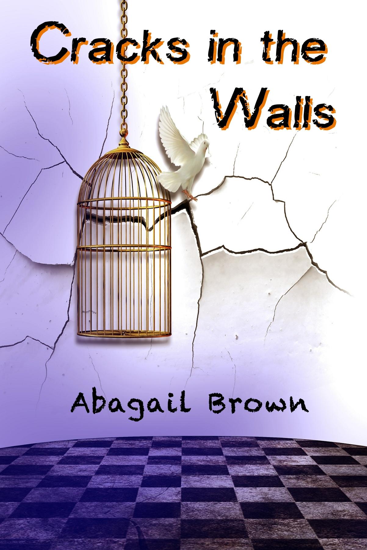 Book cover of Cracks in the Walls by UncoveredMyths