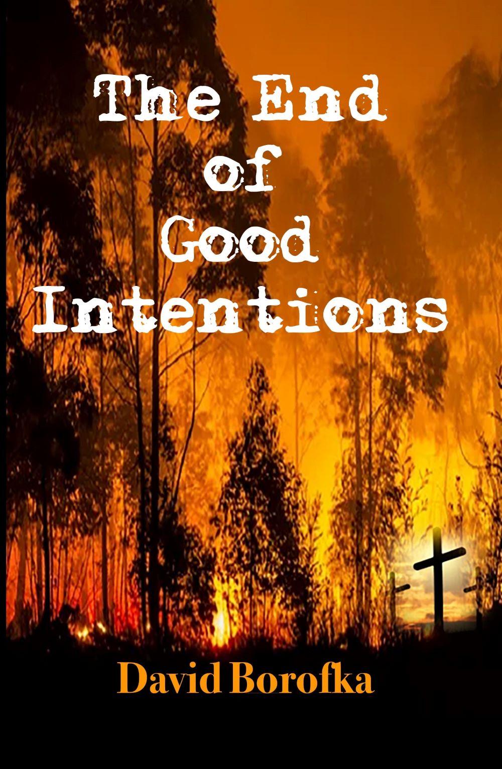 Book cover of The End of Good Intentions by David Borofka