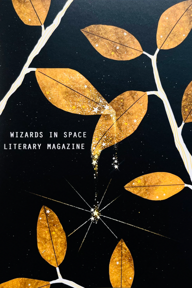 Wizards in Space Magazine latest issue