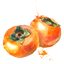 Persimmon Lit