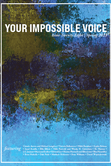 Your Impossible Voice latest issue