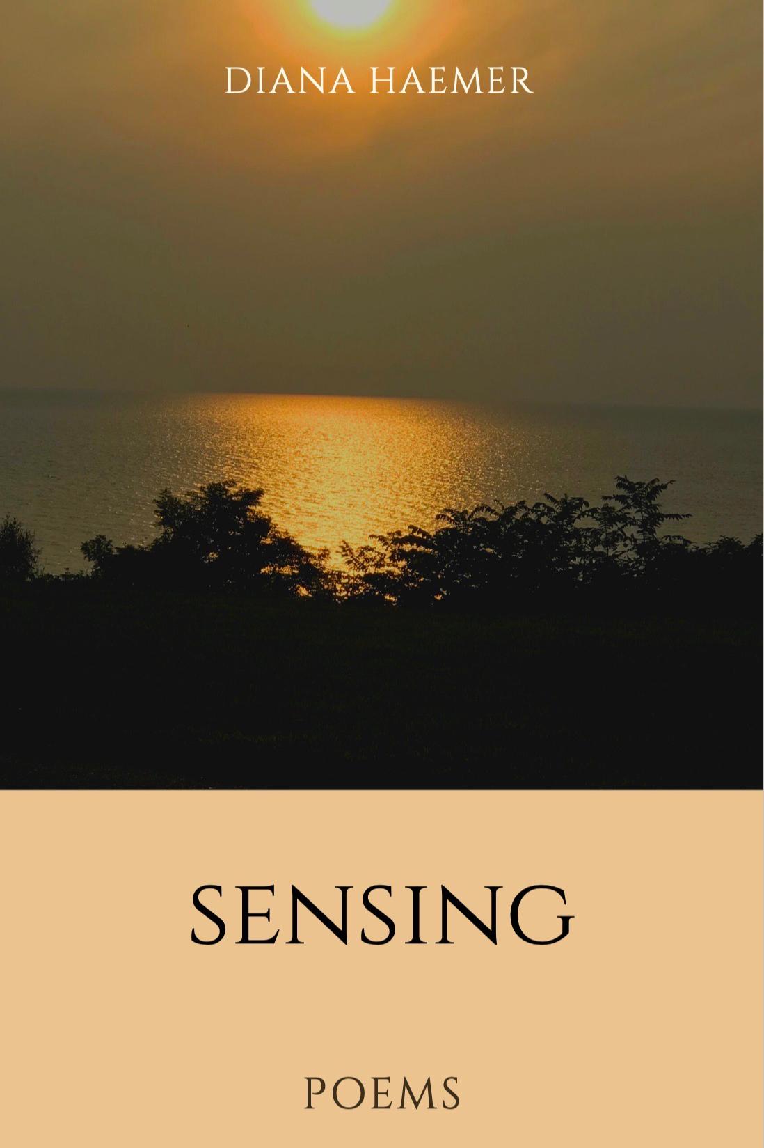 Book cover of Sensing by Diana Haemer