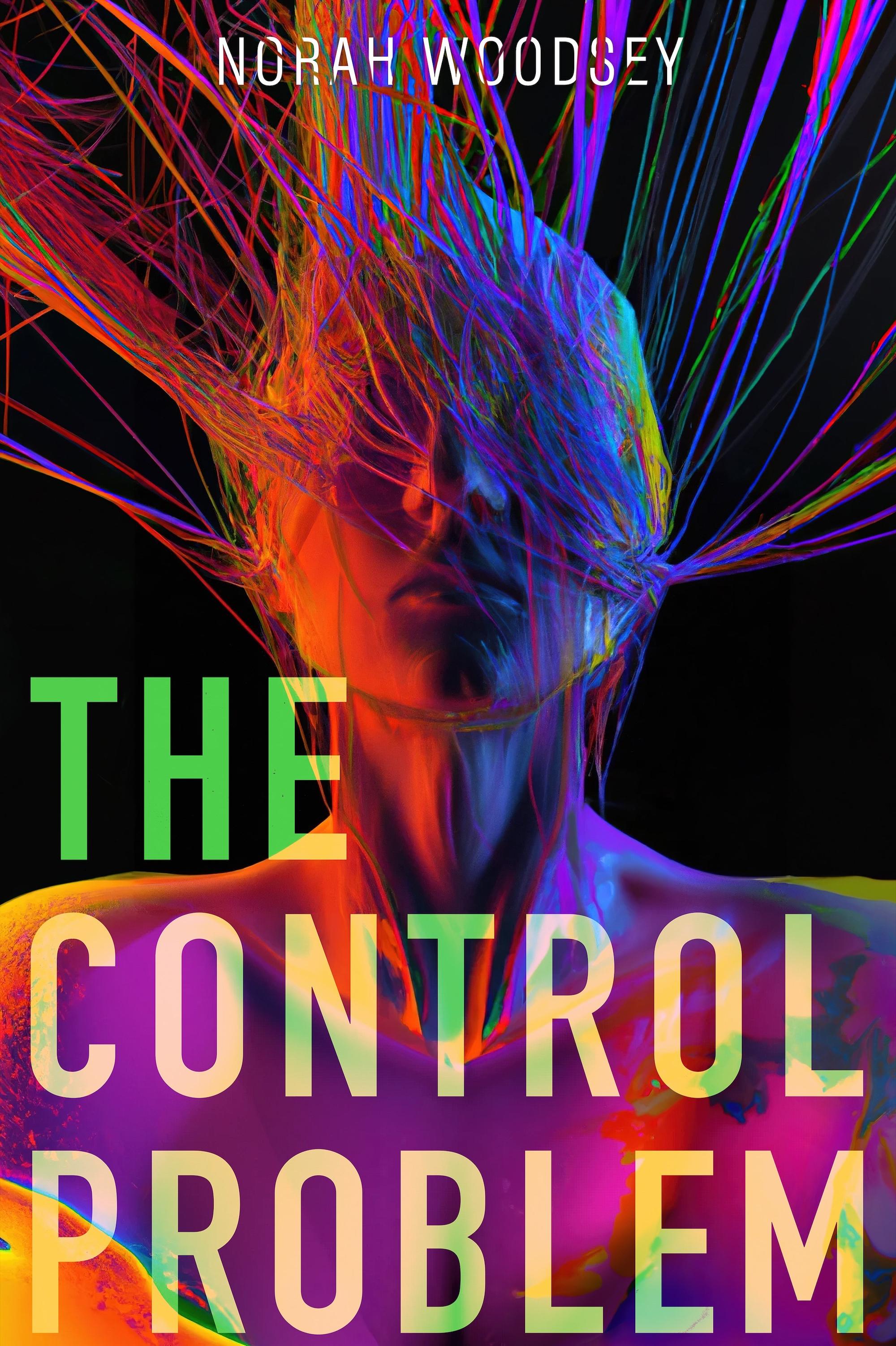 Book cover of The Control Problem by norah woodsey