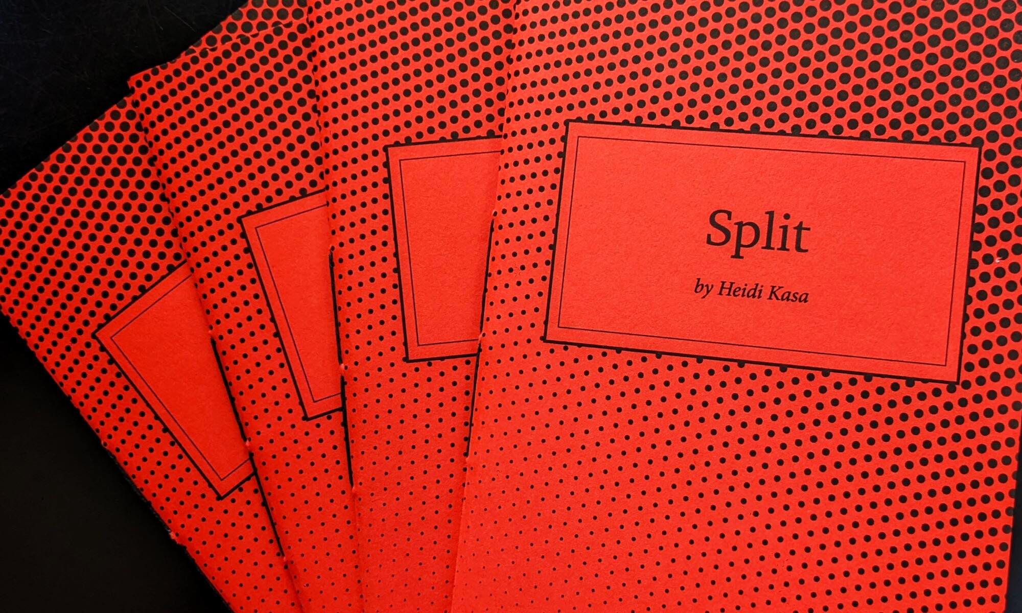 Book cover of Split by Heidi Kasa