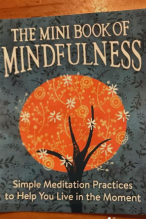 Book cover of The Mini Book of Mindfulness by camilla