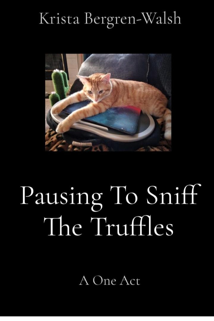 Book cover of Pausing to Sniff the Truffles  by Krista Bergren-Walsh