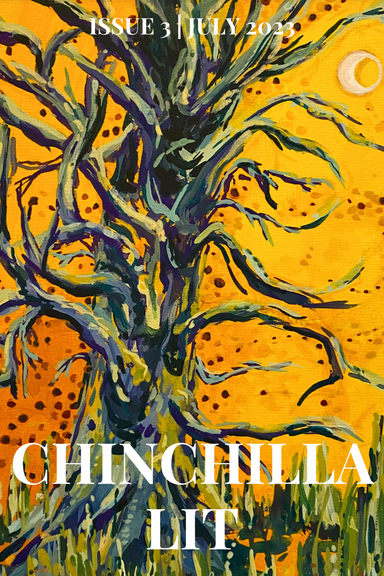 Chinchilla Lit latest issue