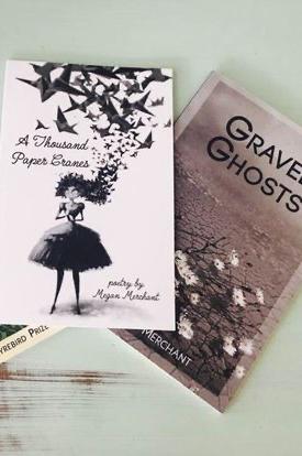 Book cover of Gravel Ghosts  by meganmerchant