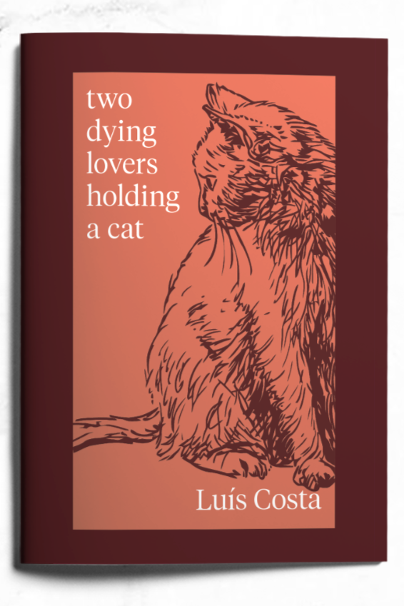 Book cover of two dying lovers holding a cat by Luís Costa