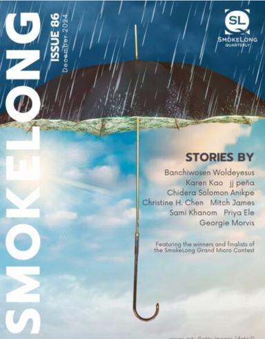 SmokeLong Quarterly latest issue