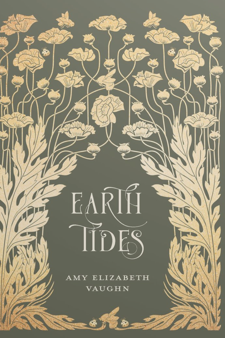 Book cover of Earth Tides by Amy Vaughn