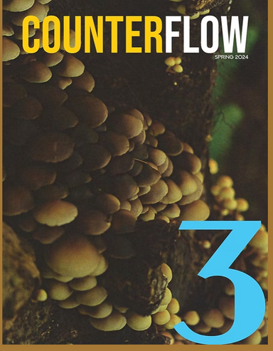 Counterflow Magazine latest issue