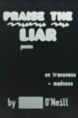 Book cover of Praise the Liar by A. O'Neill