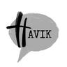 Havik logo