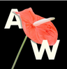 ARTWIFE logo