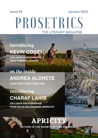 Prosetrics The Literary Magazine latest issue