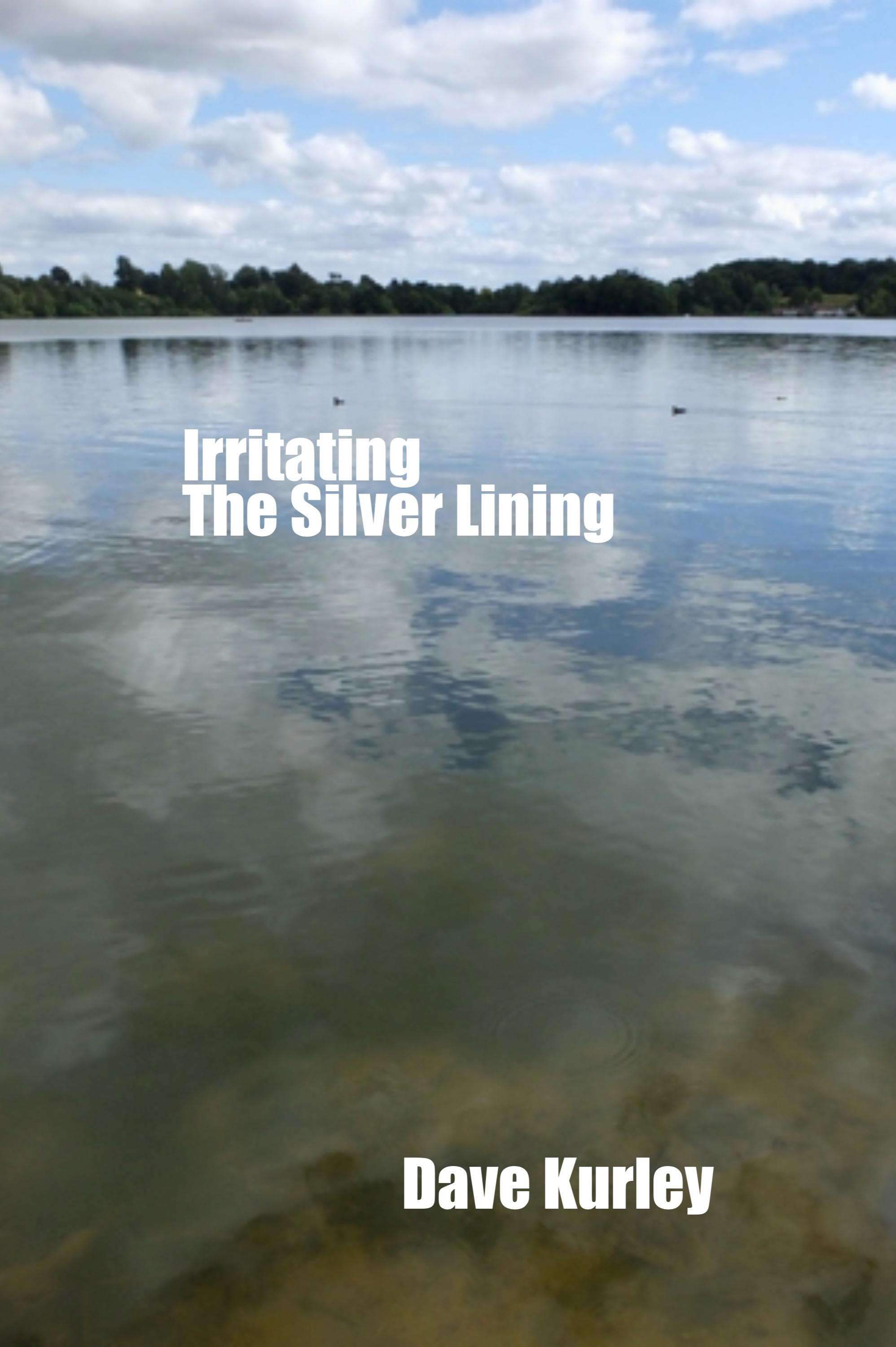 Book cover of Irritating the Silver Lining by Dave Kurley