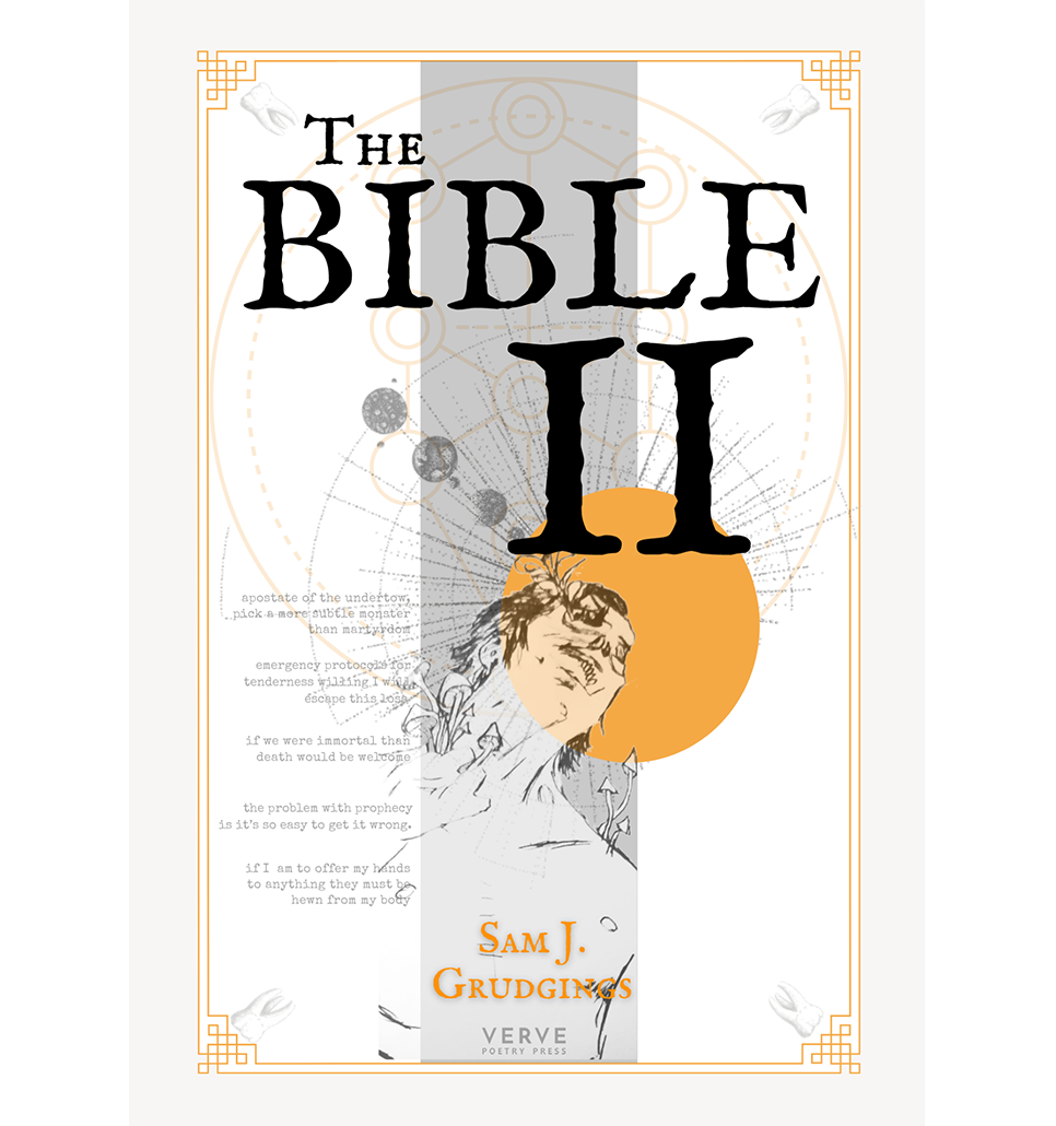 Book cover of The Bible II by Sam J Grudgings