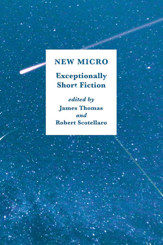 Book cover of New Micro: Exceptionally Short Fiction by William Walsh