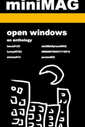 Book cover of open windows by Alex Prestia