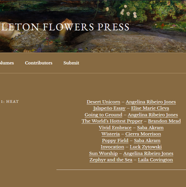 Skeleton Flowers Press latest issue