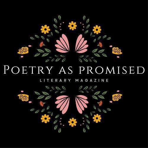 Poetry as Promised Magazine avatar