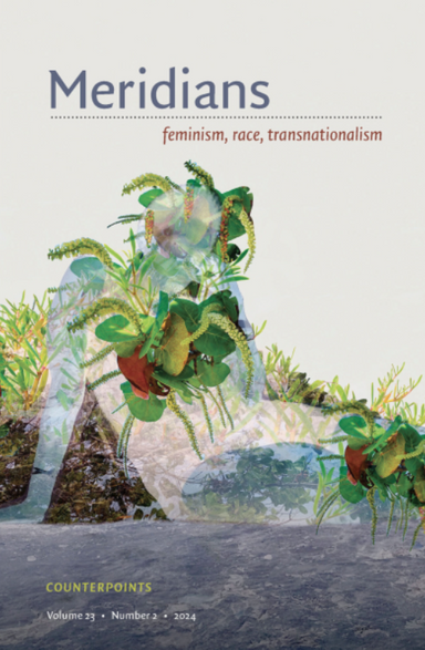 Meridians: Feminism, race, transnationalism latest issue