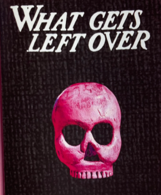 Book cover of WHAT GETS LEFT OVER by Auzin