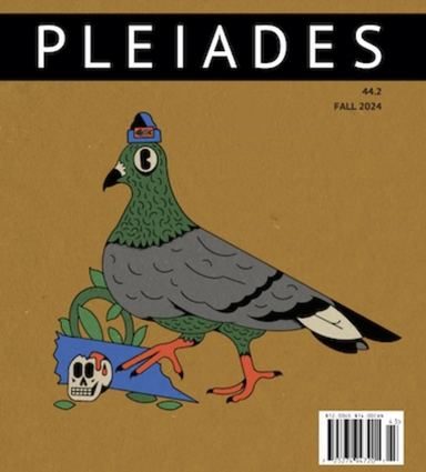 Pleiades Magazine latest issue