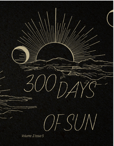 300 Days of Sun latest issue