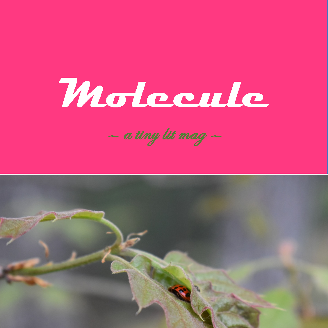 Cover of Molecule: A Tiny Lit Mag