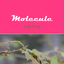 Molecule: A Tiny Lit Mag