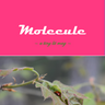 Molecule: A Tiny Lit Mag logo
