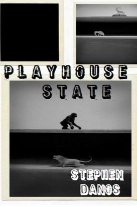 Book cover of Playhouse State by Stephen Danos